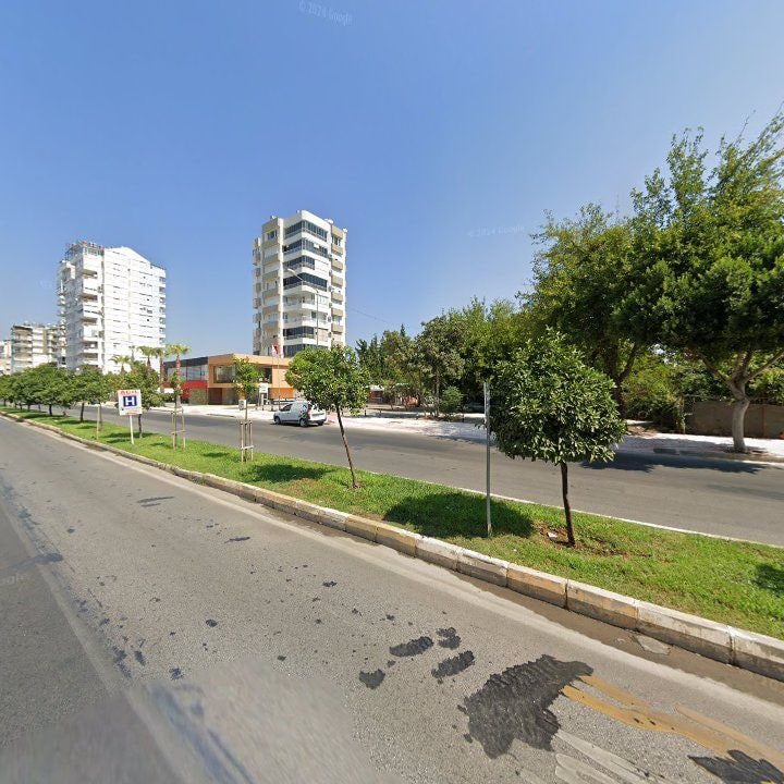 Fotoğraf 6