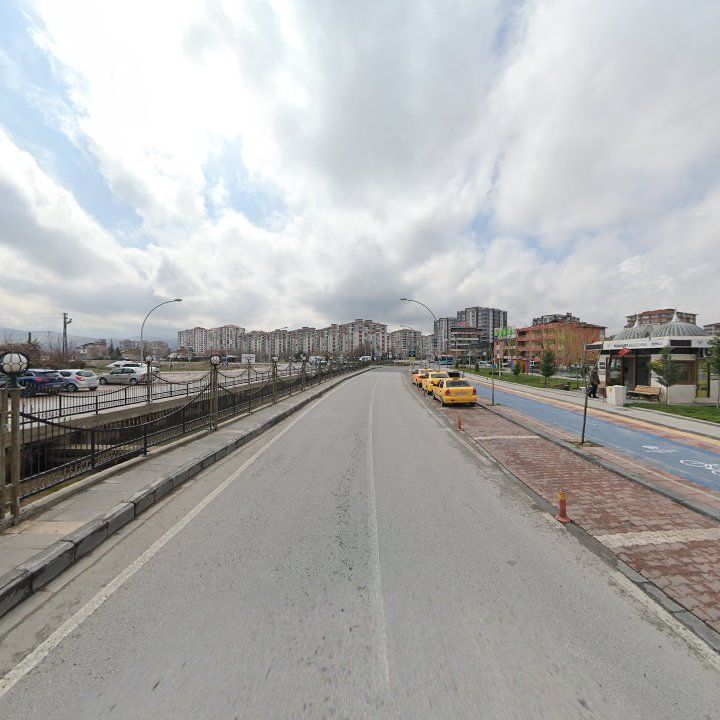 Fotoğraf 9