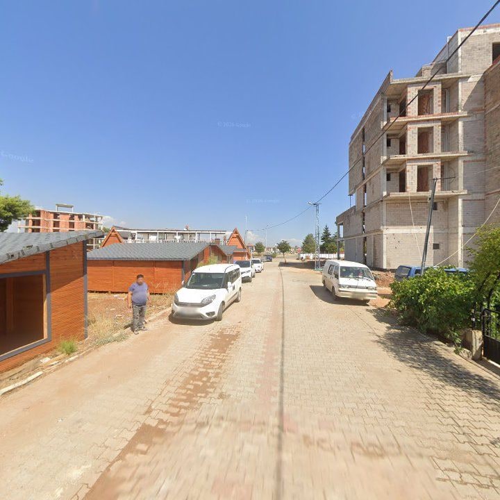 Fotoğraf 10