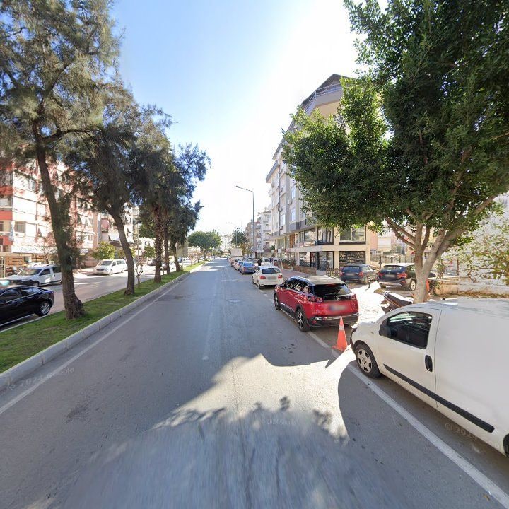 Fotoğraf 10