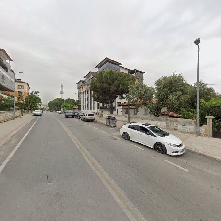 Fotoğraf 10