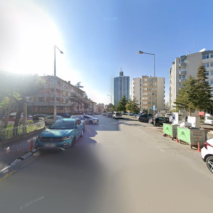 Fotoğraf 11