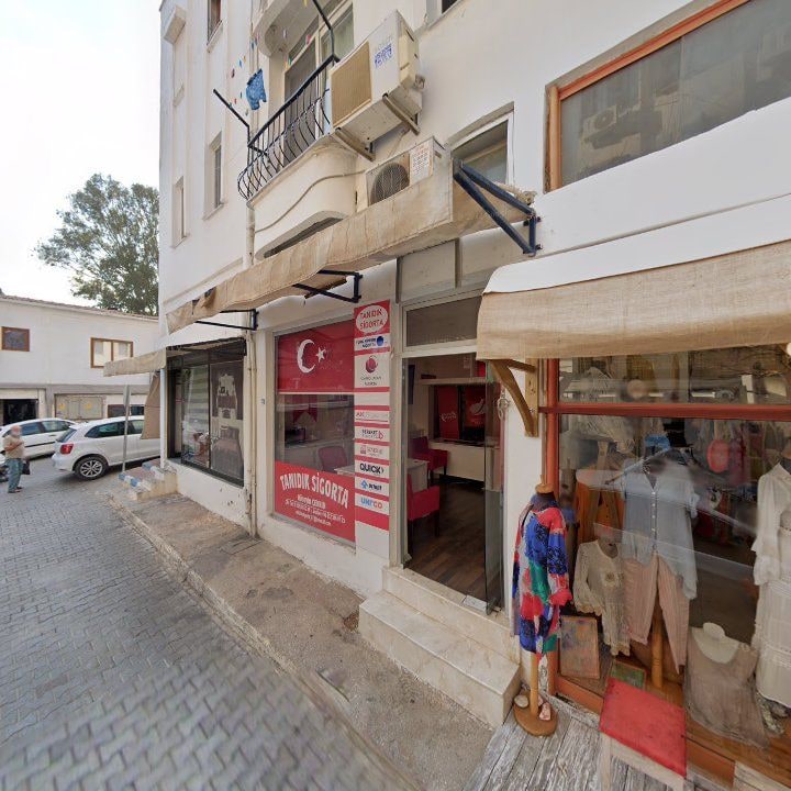 Fotoğraf 12