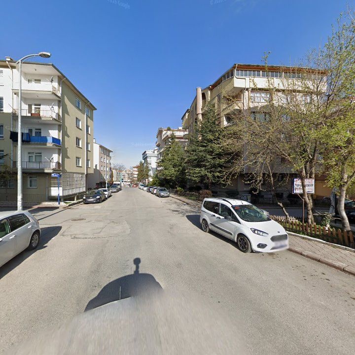 Fotoğraf 9
