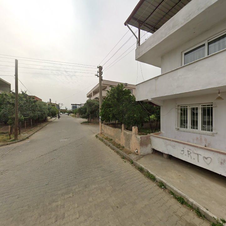 Fotoğraf 7