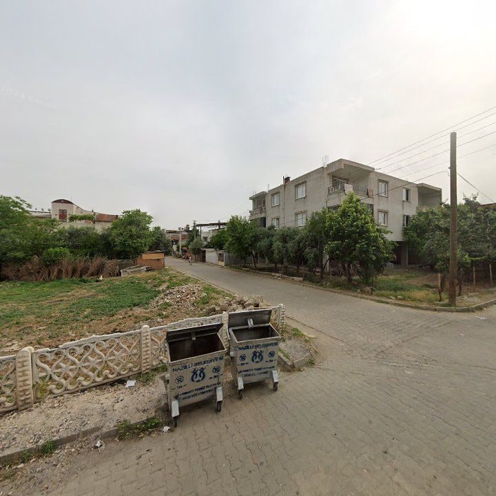 Fotoğraf 6