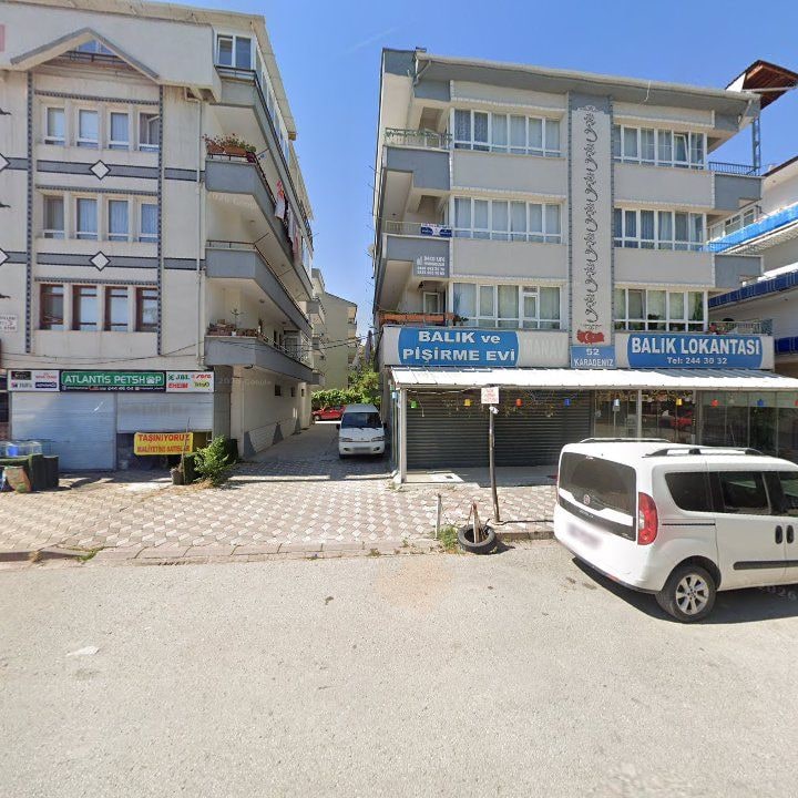 Fotoğraf 3