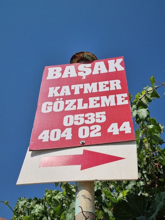 Başak Katmer Gözleme
