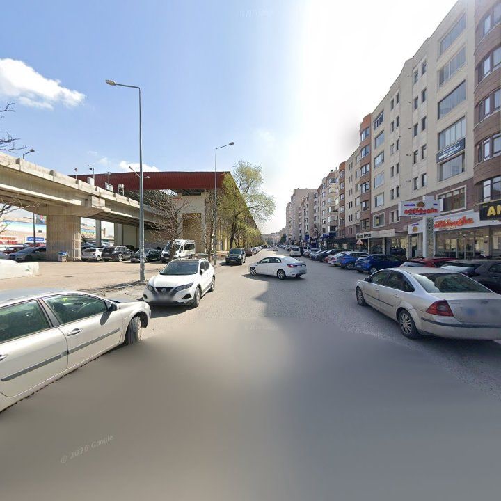 Fotoğraf 10