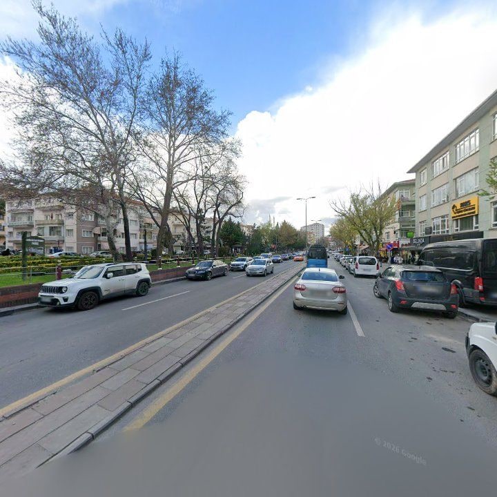 Fotoğraf 12