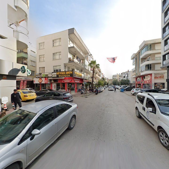 Fotoğraf 10