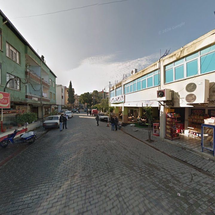 Fotoğraf 7