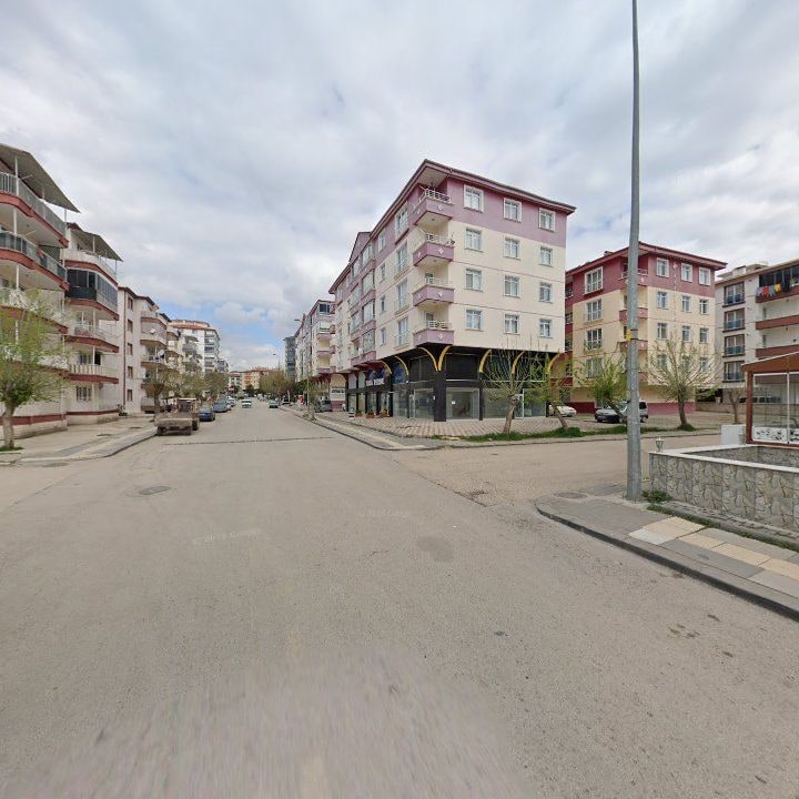 Fotoğraf 16