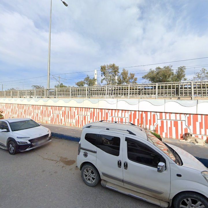 Fotoğraf 12