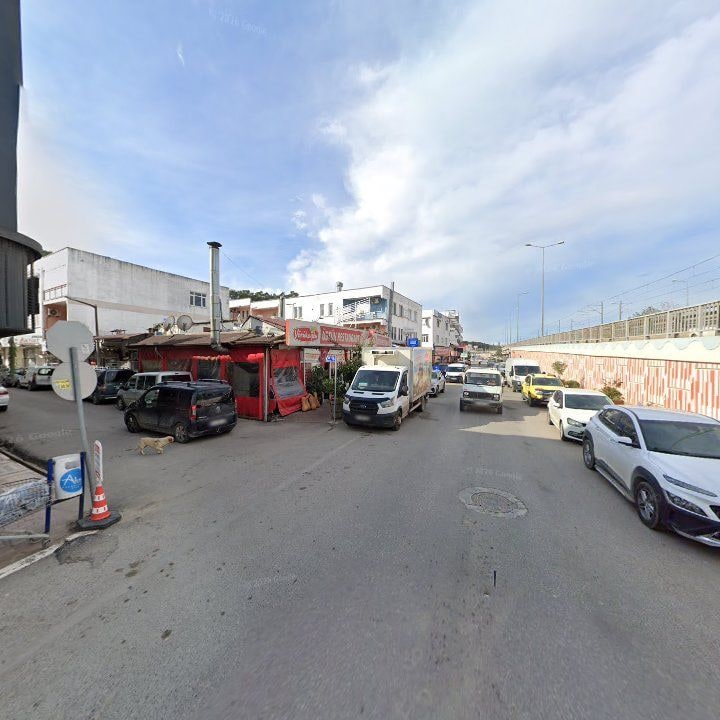 Fotoğraf 11