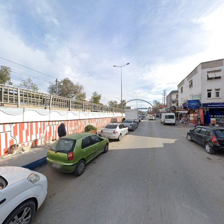 Fotoğraf 13