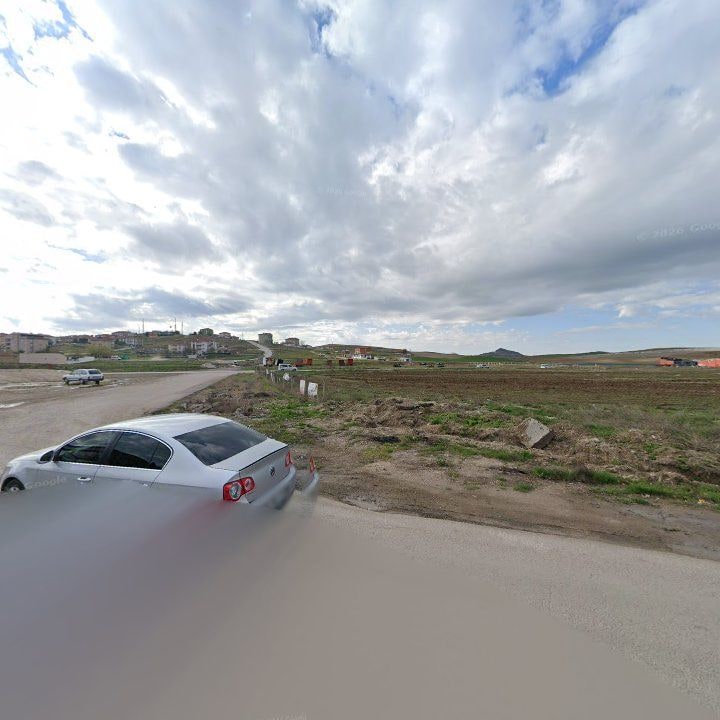 Fotoğraf 7