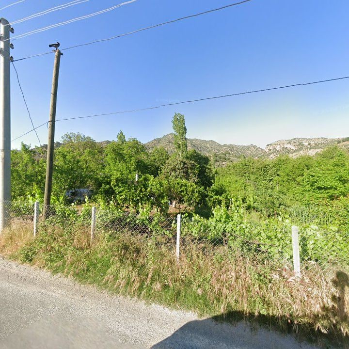 Fotoğraf 8
