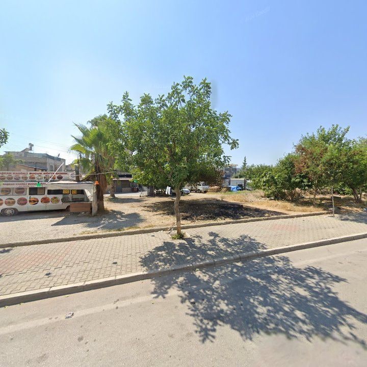 Fotoğraf 7
