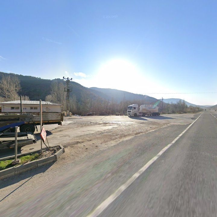 Fotoğraf 8