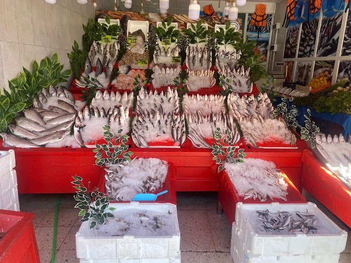 Başkent Balık Mamak
