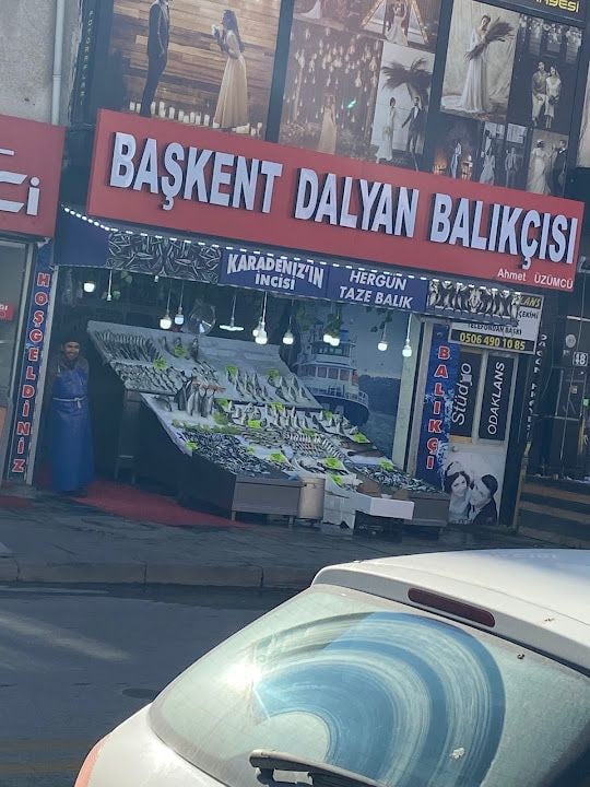 Başkent Dalyan Balıkçısı