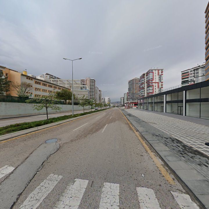 Fotoğraf 11