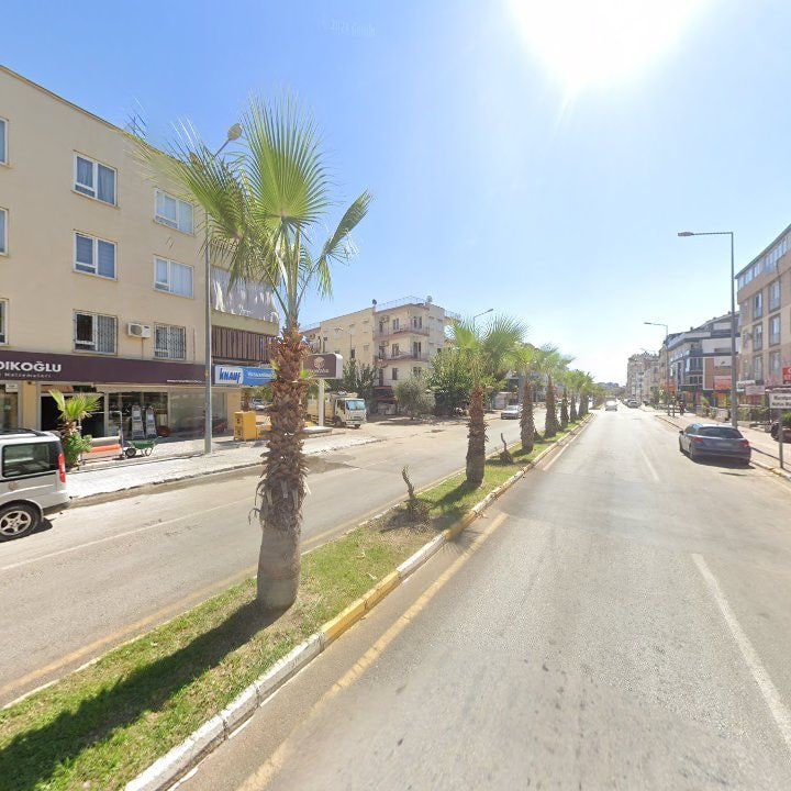 Fotoğraf 7