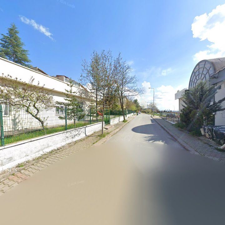 Fotoğraf 9