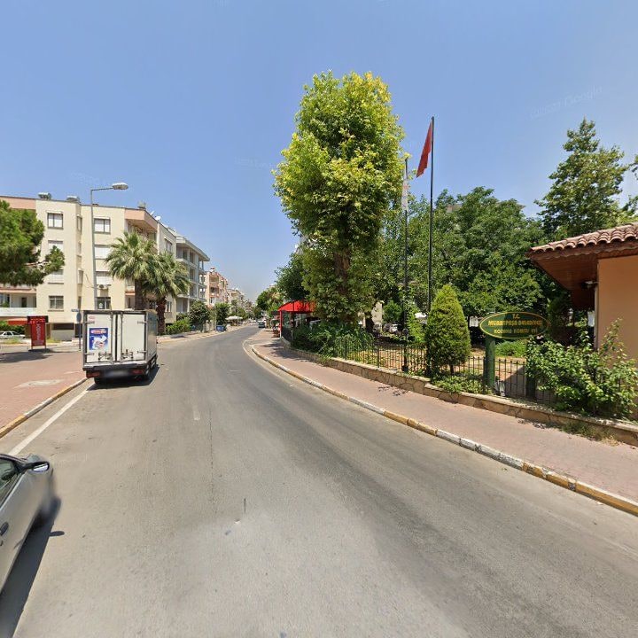 Fotoğraf 9