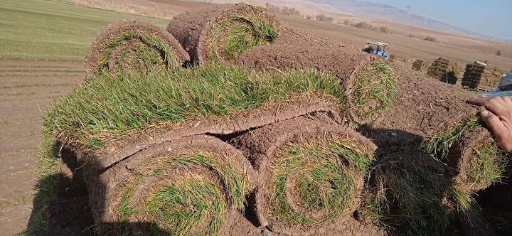 Başkent Rulo Çim