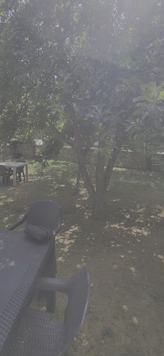 Başpınar Aile Çay Bahçesi Ve Mesire Alanı