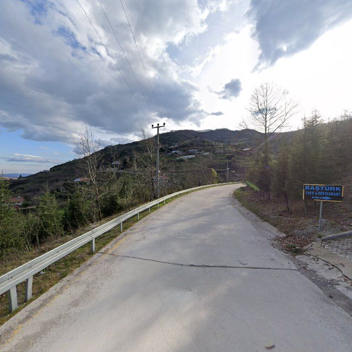 Fotoğraf 10