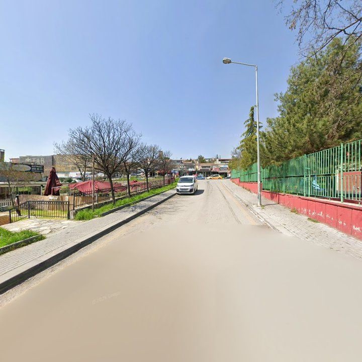 Fotoğraf 7