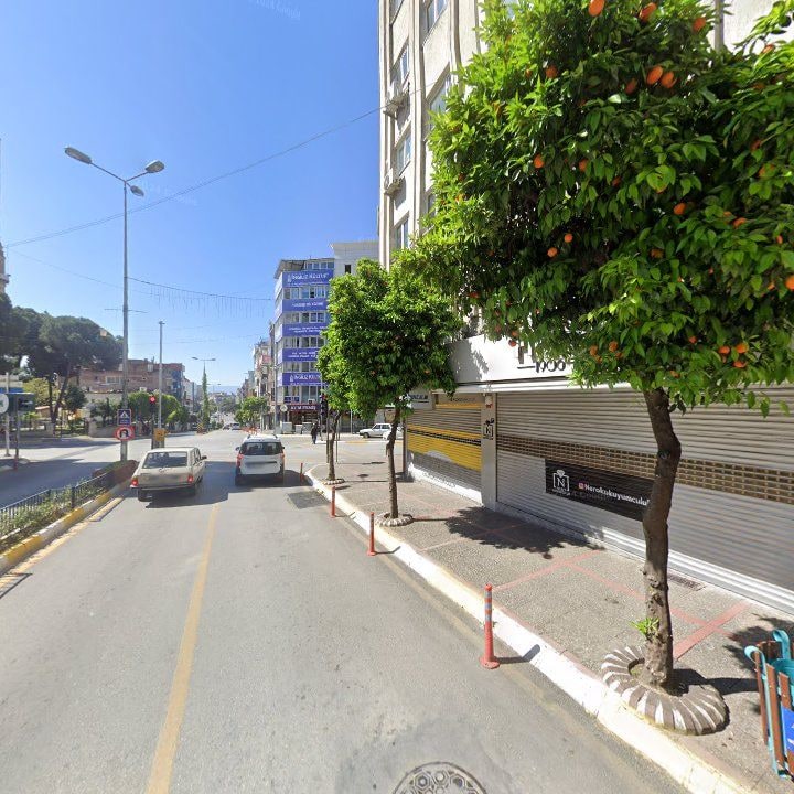 Fotoğraf 9