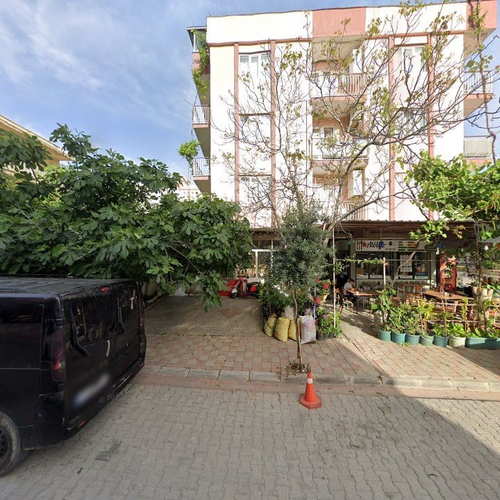 Fotoğraf 3
