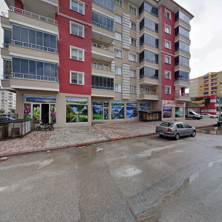 Fotoğraf 11