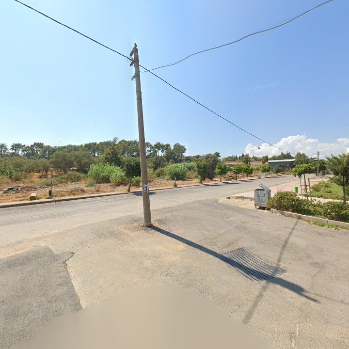 Fotoğraf 11