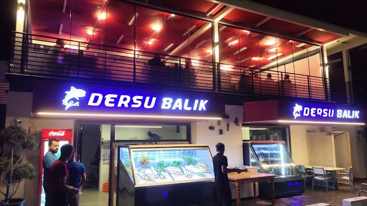 Bay Balık Manavgat