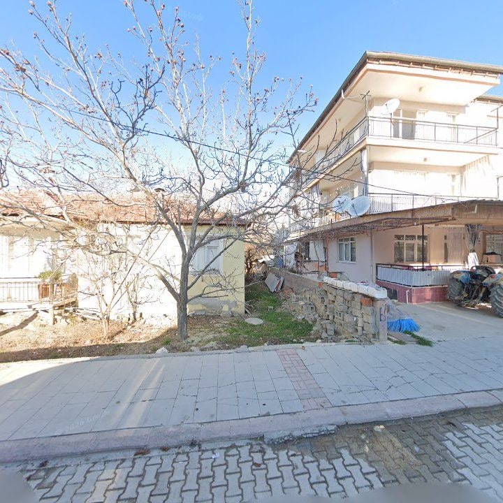 Fotoğraf 7