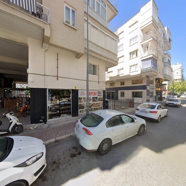 Fotoğraf 8