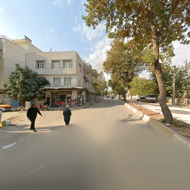 Fotoğraf 3