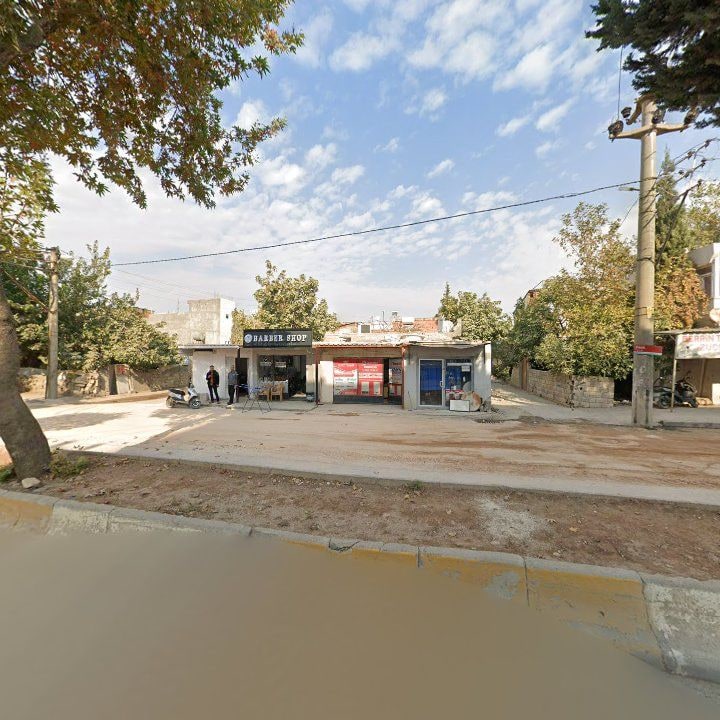 Fotoğraf 4