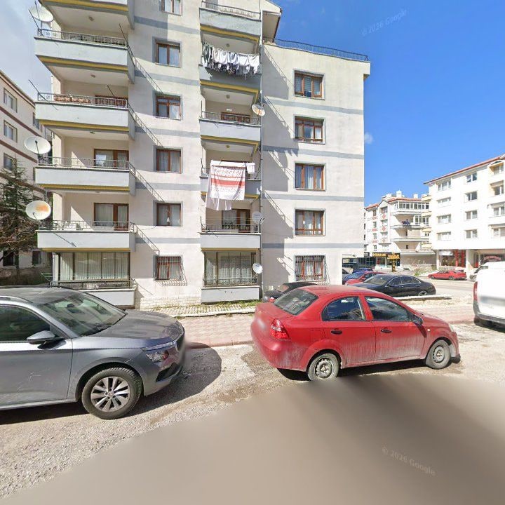 Fotoğraf 8