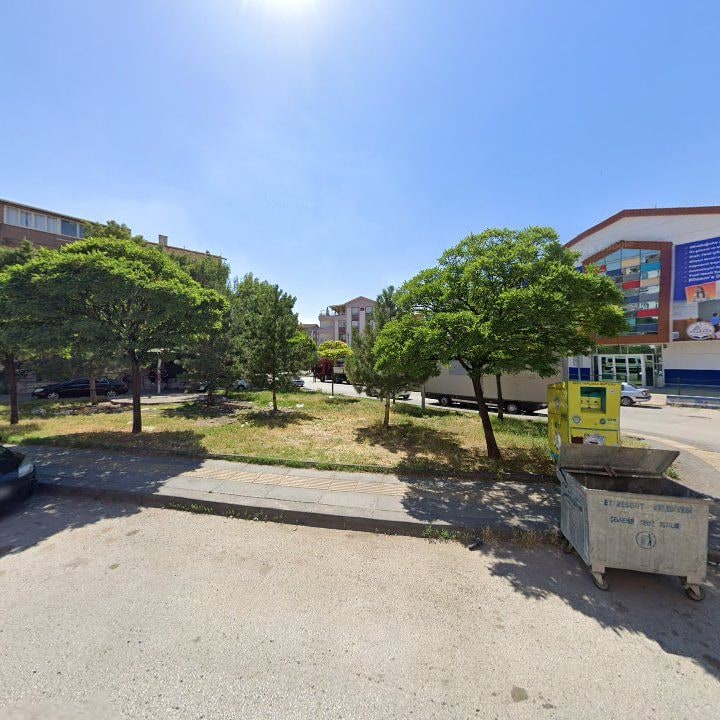 Fotoğraf 9