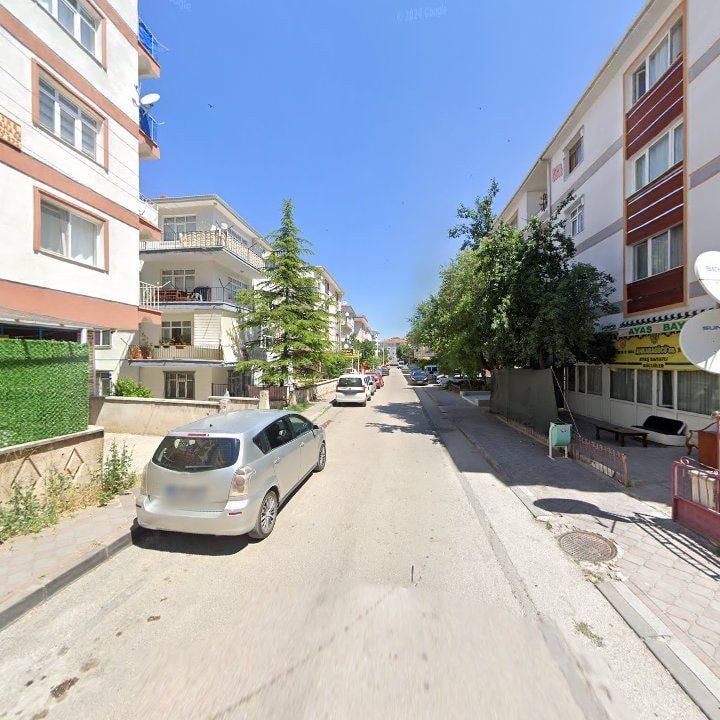 Fotoğraf 4