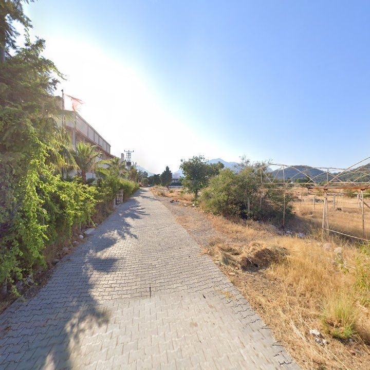 Fotoğraf 6