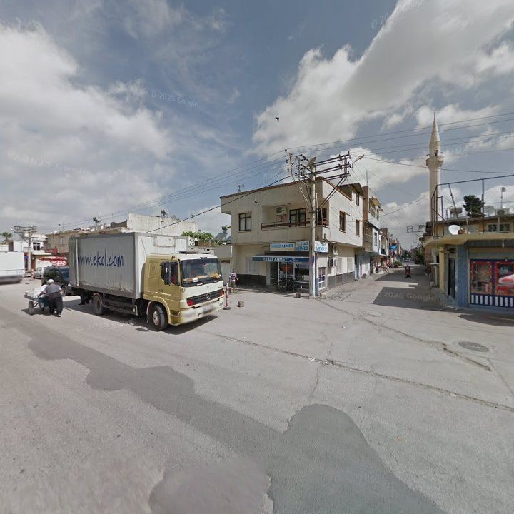 Fotoğraf 5