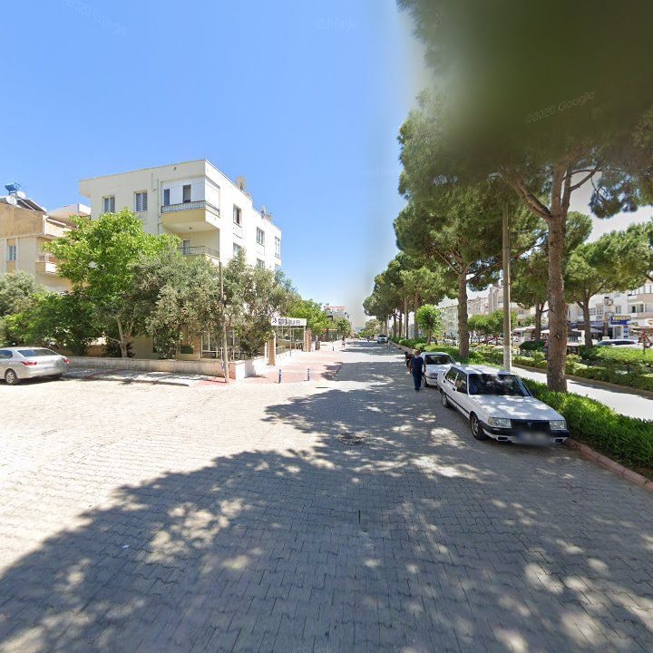 Fotoğraf 10