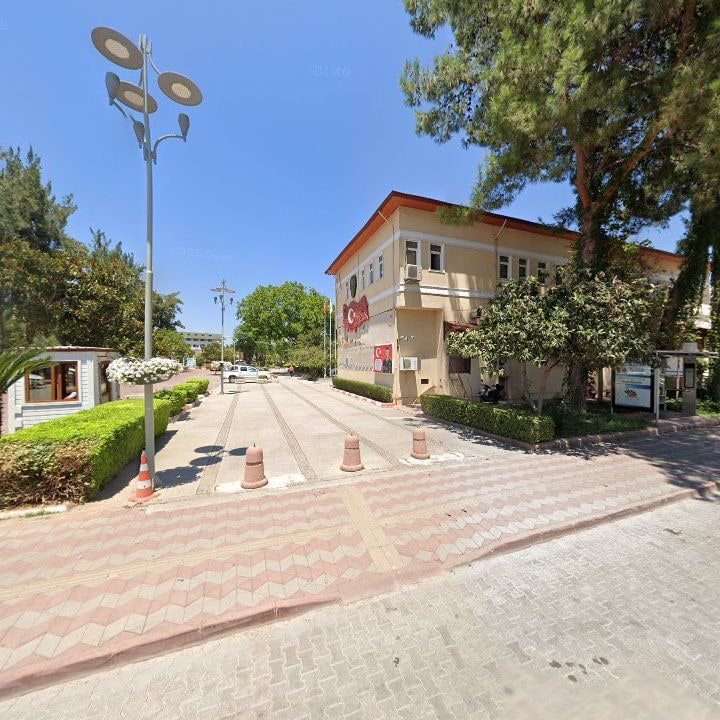 Fotoğraf 13